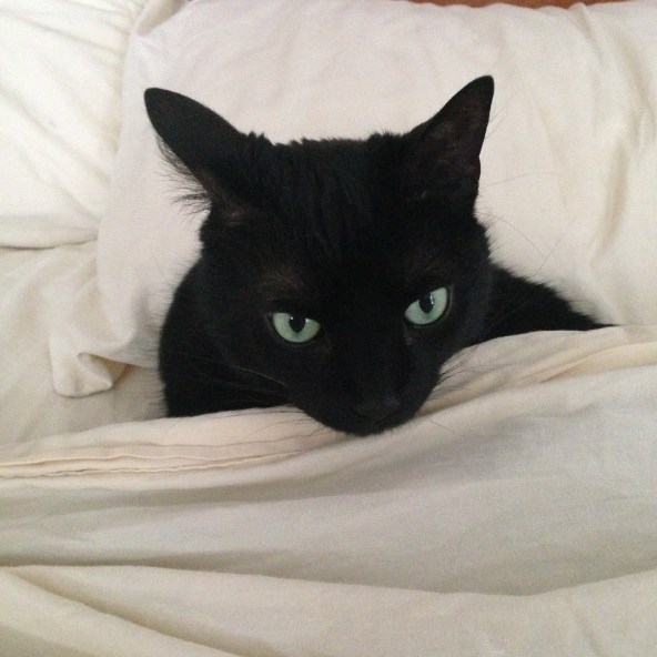 You're the inspiration.